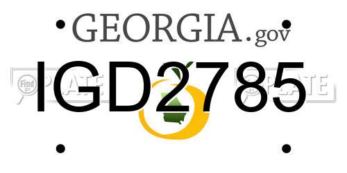 IGD2785 Georgia License Plate