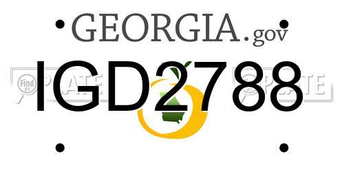 IGD2788 Georgia License Plate
