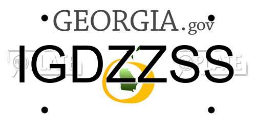 IGDZZSS Georgia License Plate
