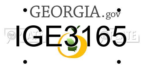 IGE3165 Georgia License Plate