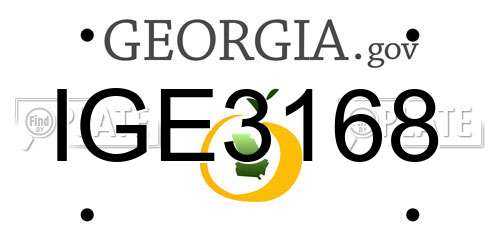 IGE3168 Georgia License Plate