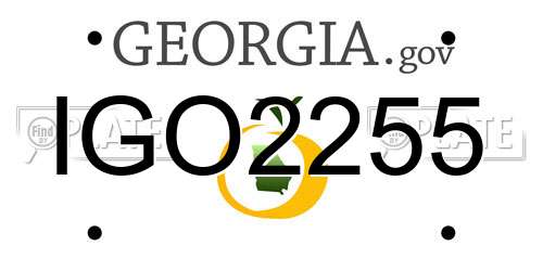 IGO2255 Georgia License Plate
