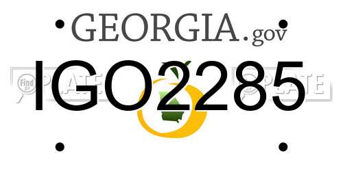 IGO2285 Georgia License Plate