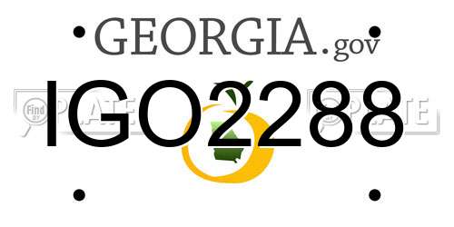 IGO2288 Georgia License Plate