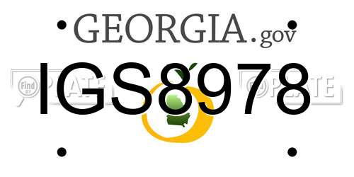 IGS8978 Georgia License Plate