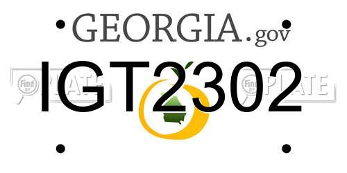 IGT2302 Georgia License Plate