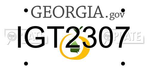 IGT2307 Georgia License Plate