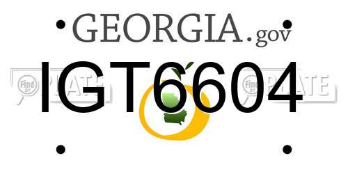 IGT6604 Georgia License Plate