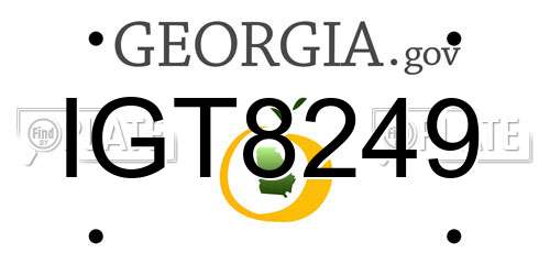 IGT8249 Georgia License Plate