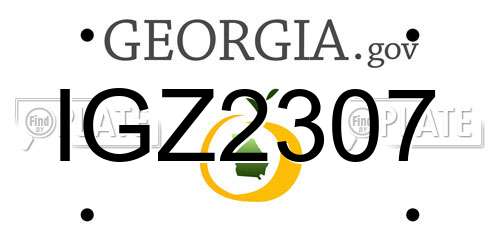 IGZ2307 Georgia License Plate