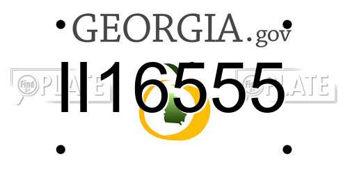II16555 Georgia License Plate