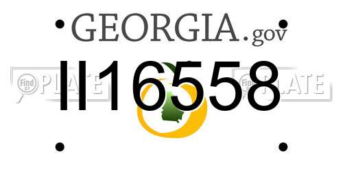 II16558 Georgia License Plate