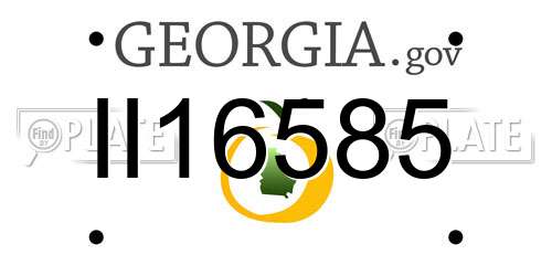 II16585 Georgia License Plate