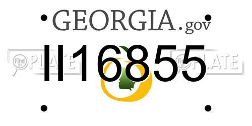 II16855 Georgia License Plate