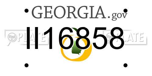 II16858 Georgia License Plate