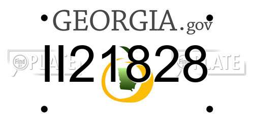 II21828 Georgia License Plate
