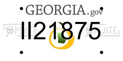 II21875 Georgia License Plate