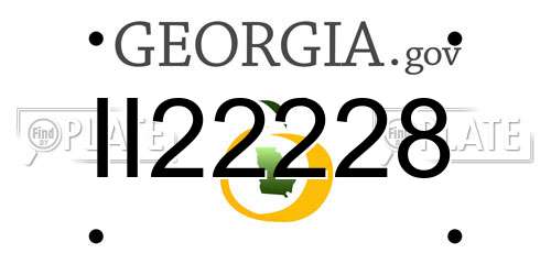 II22228 Georgia License Plate