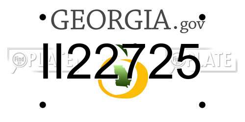 II22725 Georgia License Plate