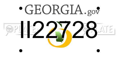 II22728 Georgia License Plate