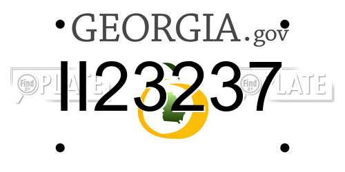 II23237 Georgia License Plate