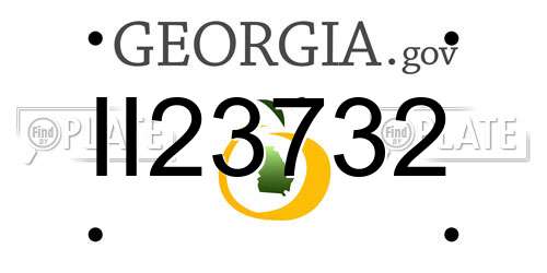 II23732 Georgia License Plate