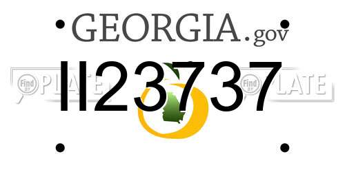 II23737 Georgia License Plate