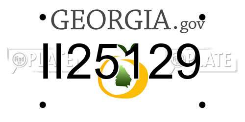 II25129 Georgia License Plate