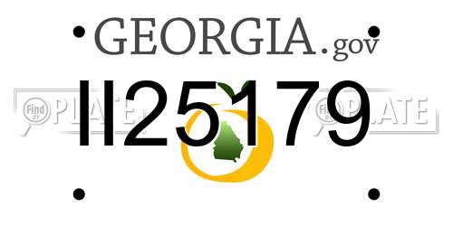 II25179 Georgia License Plate