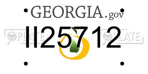 II25712 Georgia License Plate
