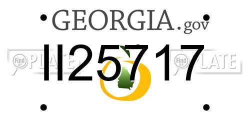 II25717 Georgia License Plate