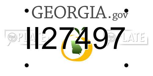 II27497 Georgia License Plate