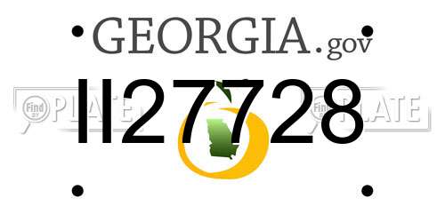 II27728 Georgia License Plate