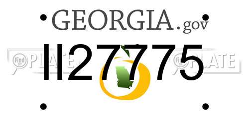 II27775 Georgia License Plate