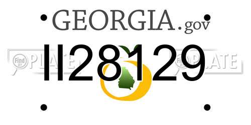 II28129 Georgia License Plate