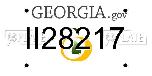 II28217 Georgia License Plate