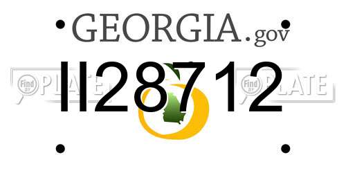 II28712 Georgia License Plate