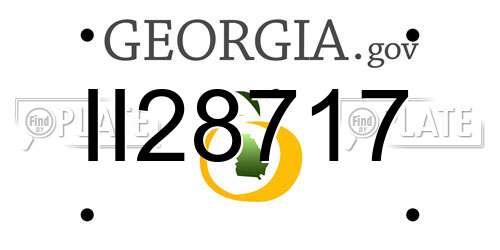 II28717 Georgia License Plate