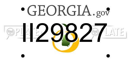 II29827 Georgia License Plate