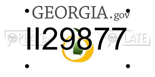 II29877 Georgia License Plate