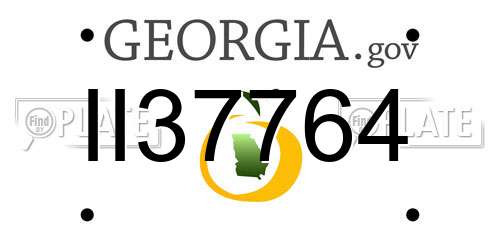 II37764 Georgia License Plate