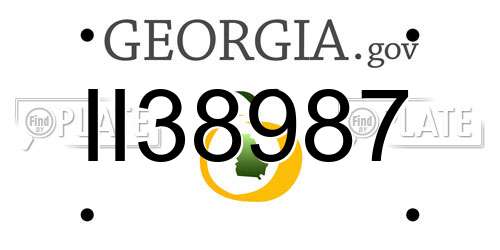 II38987 Georgia License Plate