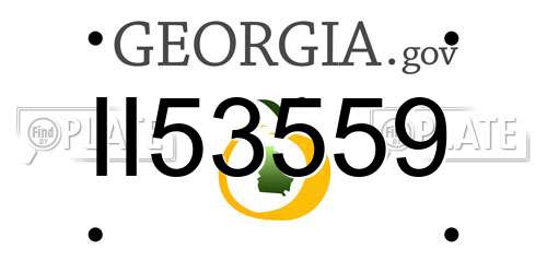II53559 Georgia License Plate