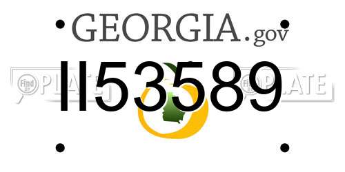 II53589 Georgia License Plate