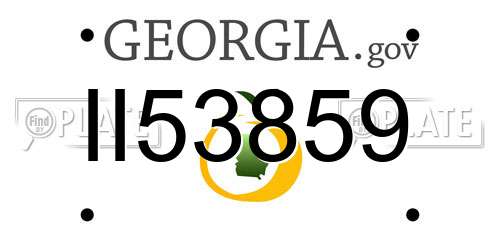 II53859 Georgia License Plate