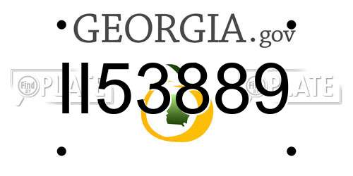 II53889 Georgia License Plate