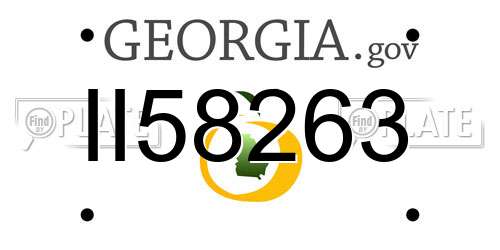 II58263 Georgia License Plate