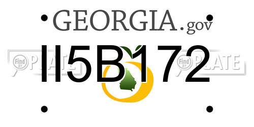 II5B172 Georgia License Plate