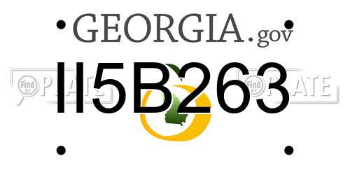 II5B263 Georgia License Plate