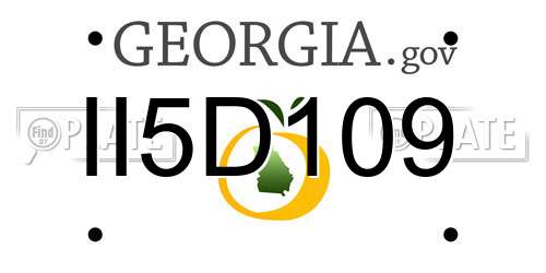 II5D109 Georgia License Plate